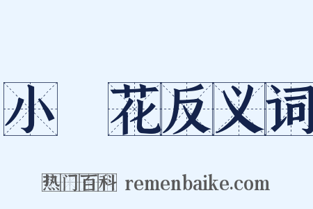 小黃花反义词是什么意思的图片